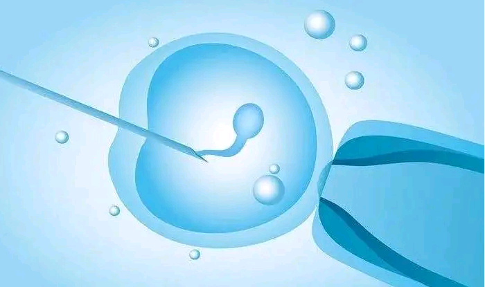 北京有做供卵试管的机构吗,什么叫试管婴儿生化_月经12天子宫内膜厚度7mm_马鞍