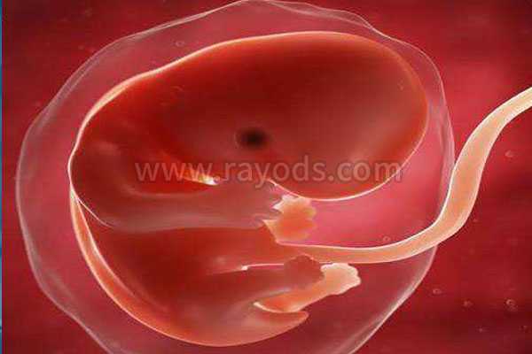 供卵姐妹群_试管婴儿自然周期冻胚移植流程步骤原来是这样的。