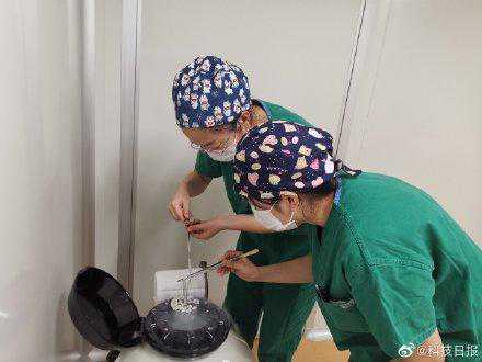 泰国供卵手术费用_内蒙古首例冻融卵母细胞试管婴儿成功受孕